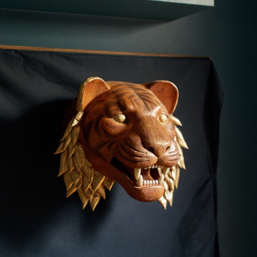 Teal Tiger